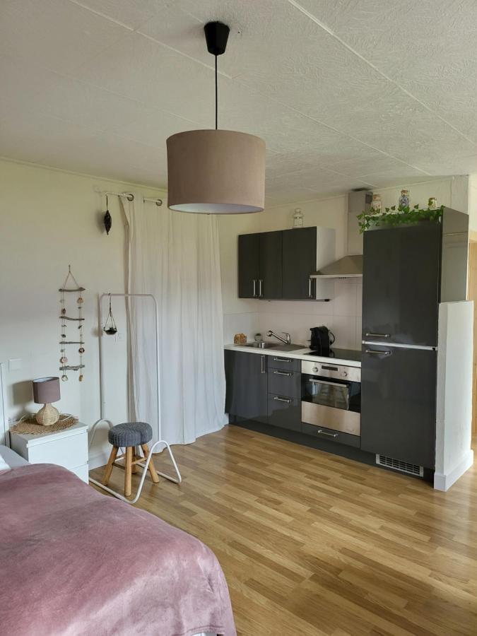 Studio Des Fontanettes Miege Екстер'єр фото